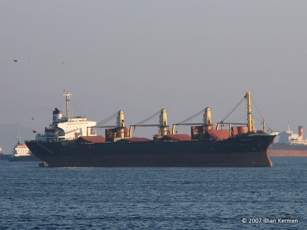 RIFKI BEY-IMO No 8109917