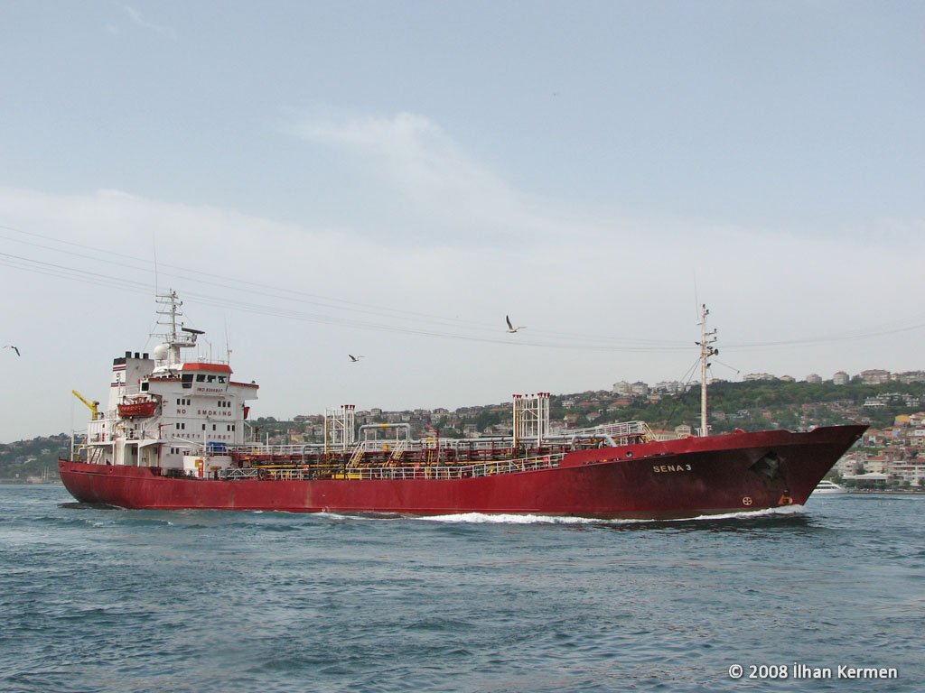 IMO No 8200307