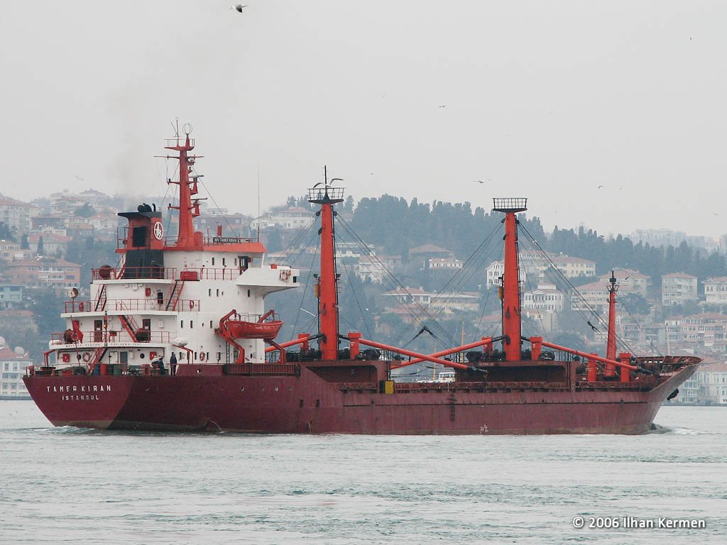 TAMER KIRAN IMO No 8113281   