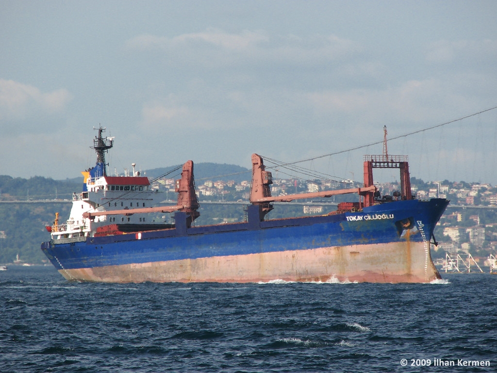 Tokay Cillioglu Imo No 7725312