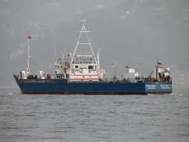 FLESTINA 7