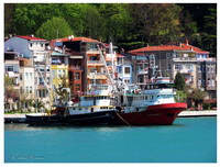 Fishery Boats in Sariyer