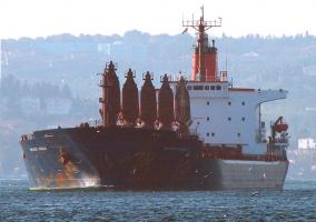 SVYATOY VASILIY - IMO 8117017