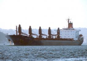 SVYATOY VASILIY - IMO 8117017