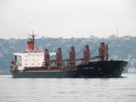 SVYATOY VASILIY - IMO 8117017