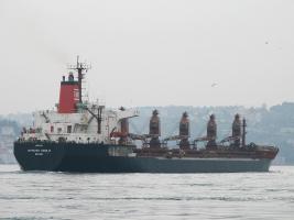 SVYATOY VASILIY - IMO 8117017