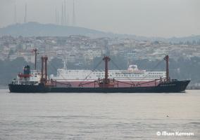 PRINCESS DAYANA - IMO 8000305