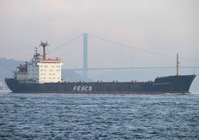 GRIGORIY ALEKSANDROV - IMO 8610215