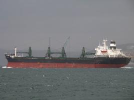 DS PIONEER - IMO 7706328