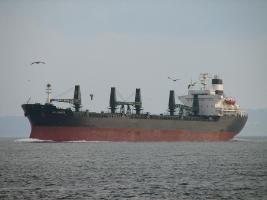 DS PIONEER - IMO 7706328