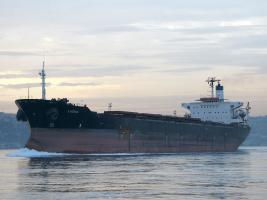 LAZEEZ - IMO 7913062