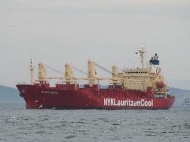 MEXICAN REEFER - IMO 9064839