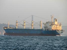 WADI HALFA - IMO 8309866