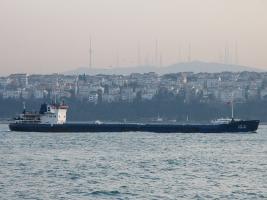 ODESSA - IMO 8891390