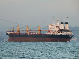 AGIOS NEKTARIOS - IMO 8723610