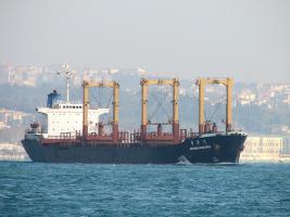 ZHONGHUAMEN - IMO 8005898