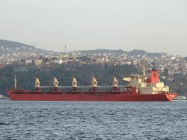 OCEAN ISLAND - IMO 8109242