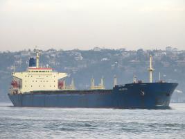 VITAFOS - IMO 8015714