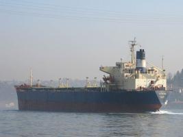 VITAFOS - IMO 8015714