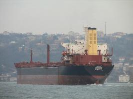 AMORITO - IMO 8107529