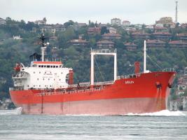 ARION