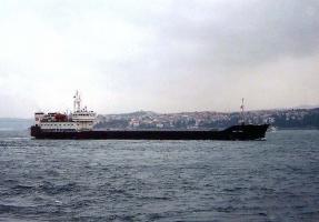 AMUR 2504 